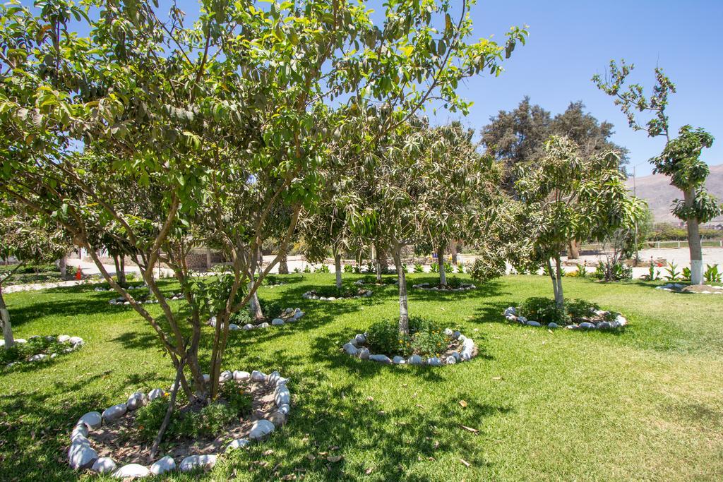 נאסקה Hotel Fundo San Rafael מראה חיצוני תמונה